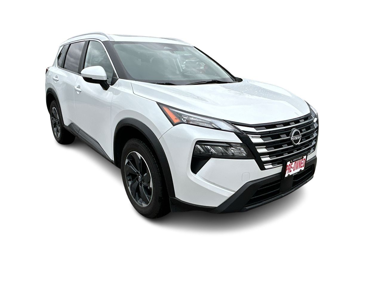 2024  Rogue