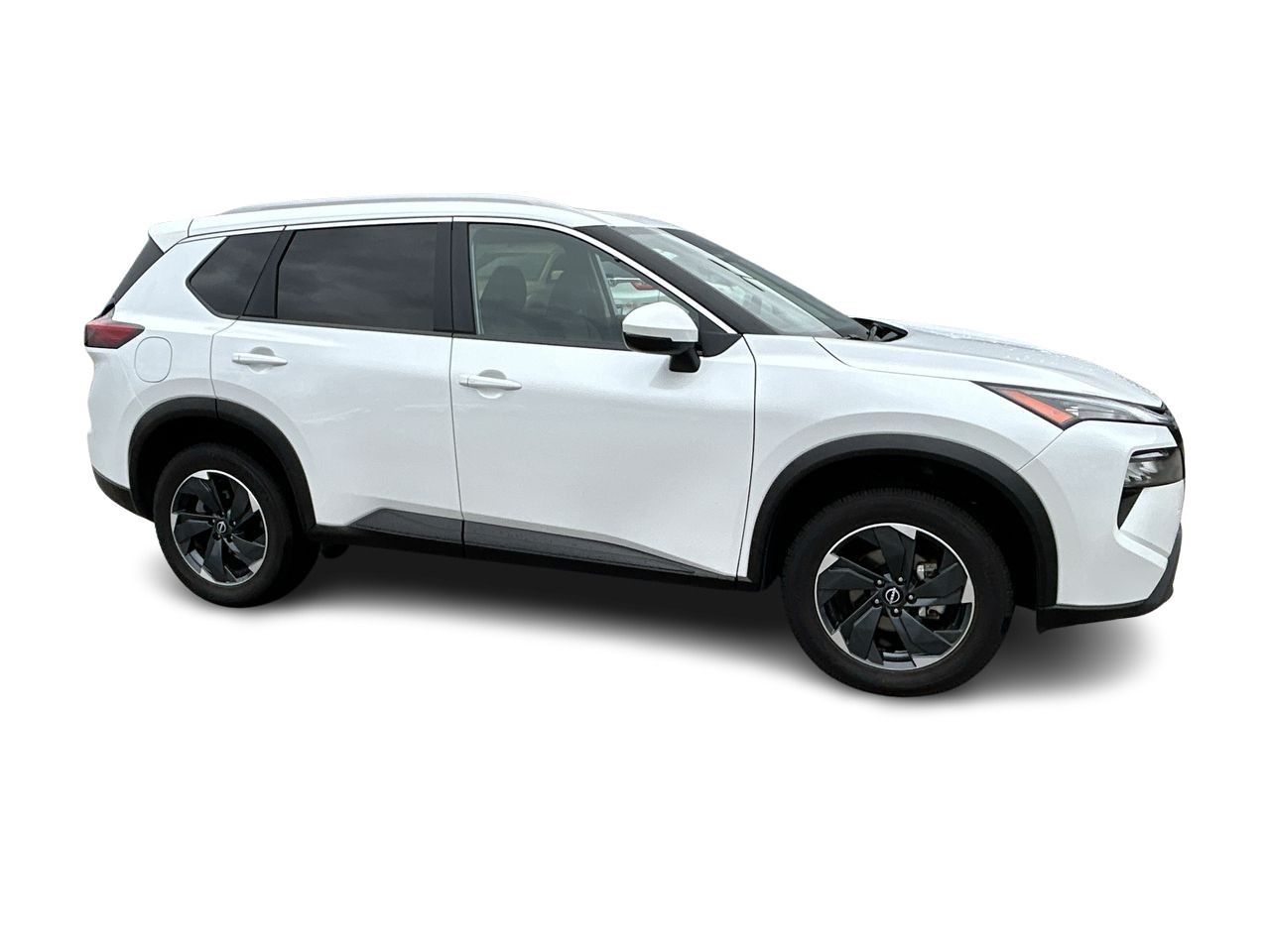 2024  Rogue