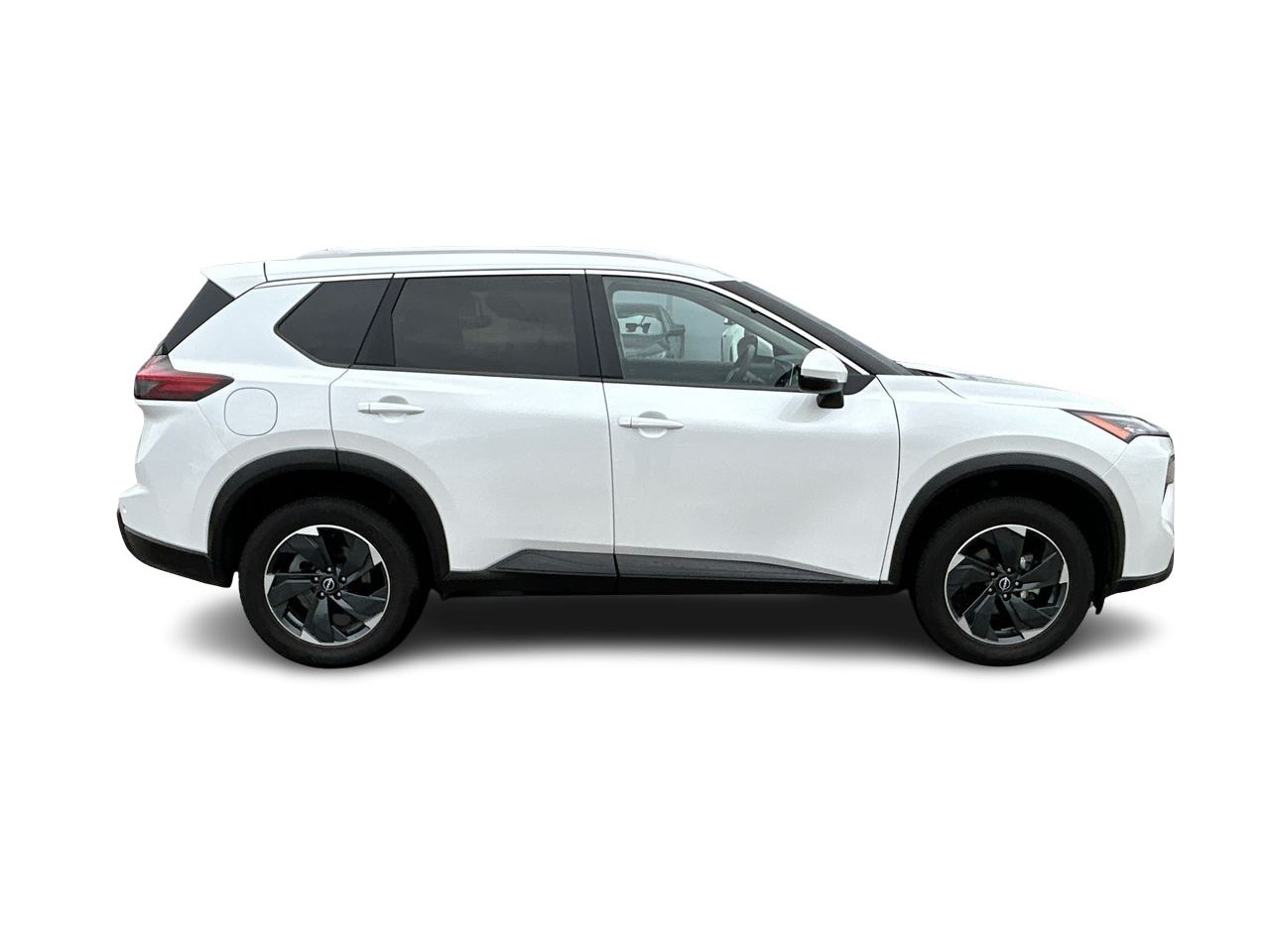 2024  Rogue