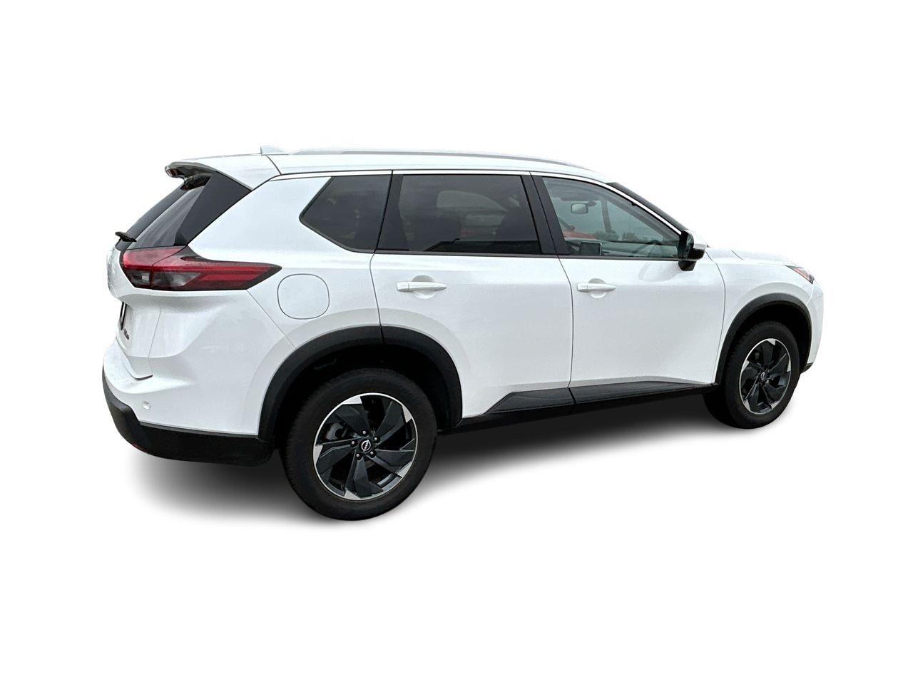 2024  Rogue