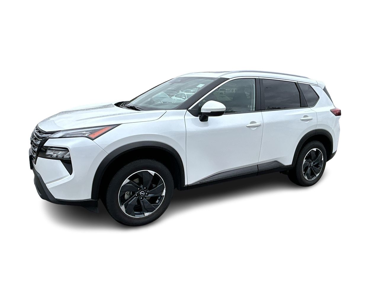 2024  Rogue