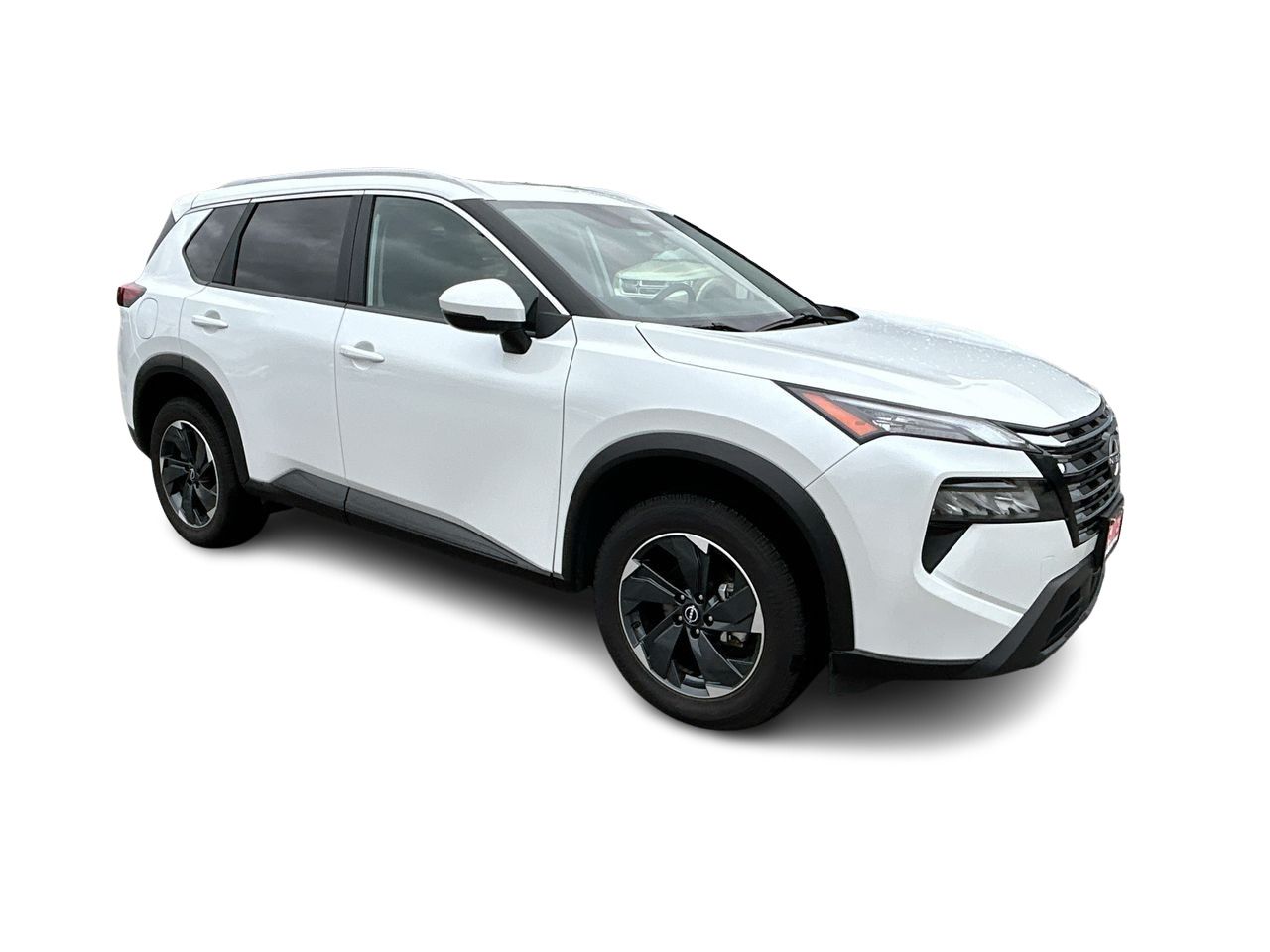 2024  Rogue