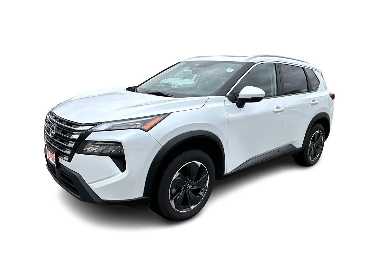 2024  Rogue