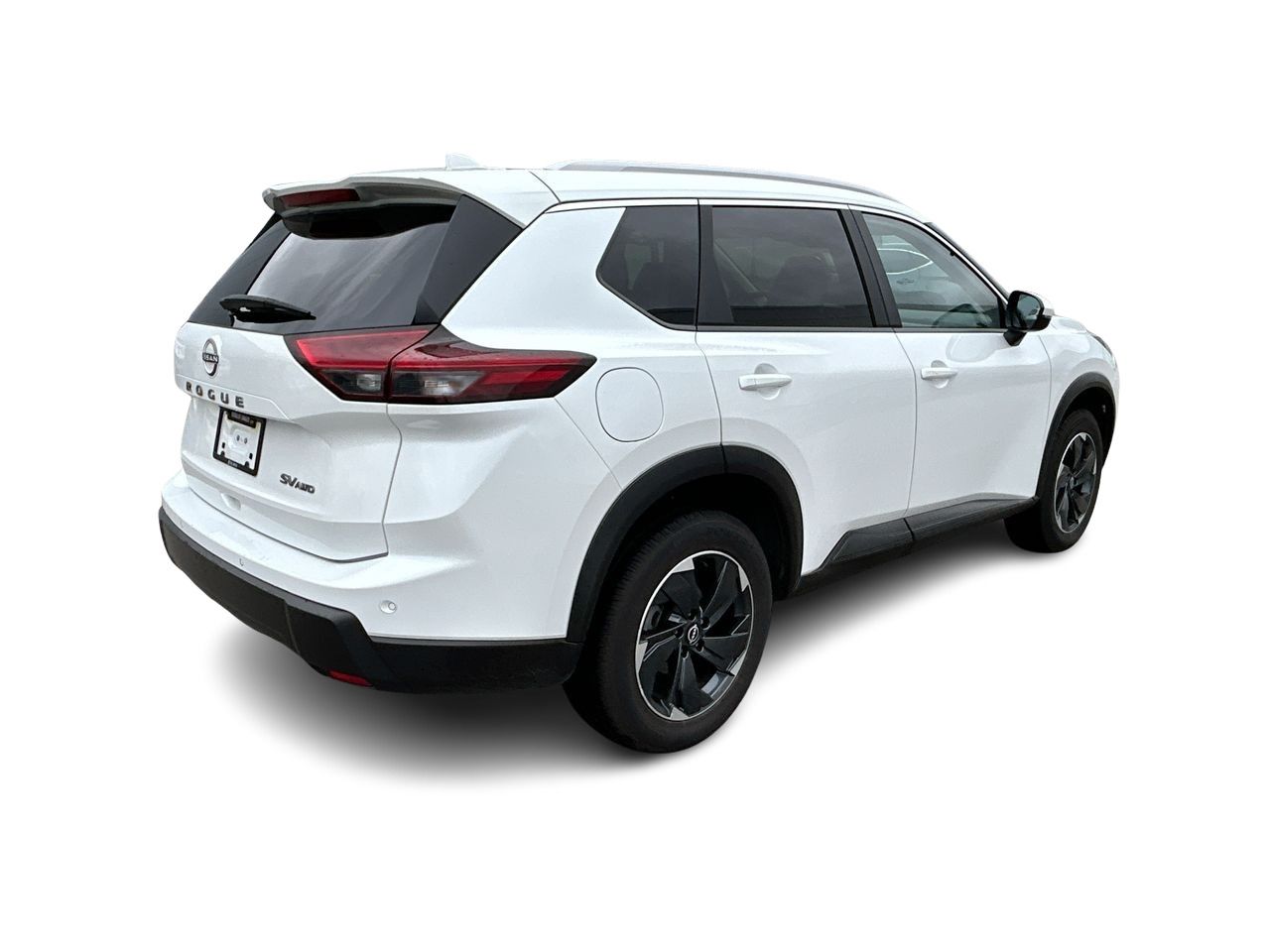 2024  Rogue
