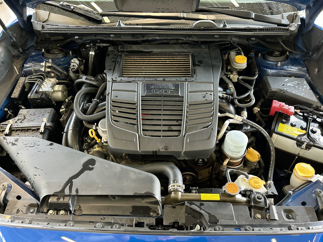 2020 Subaru WRX
