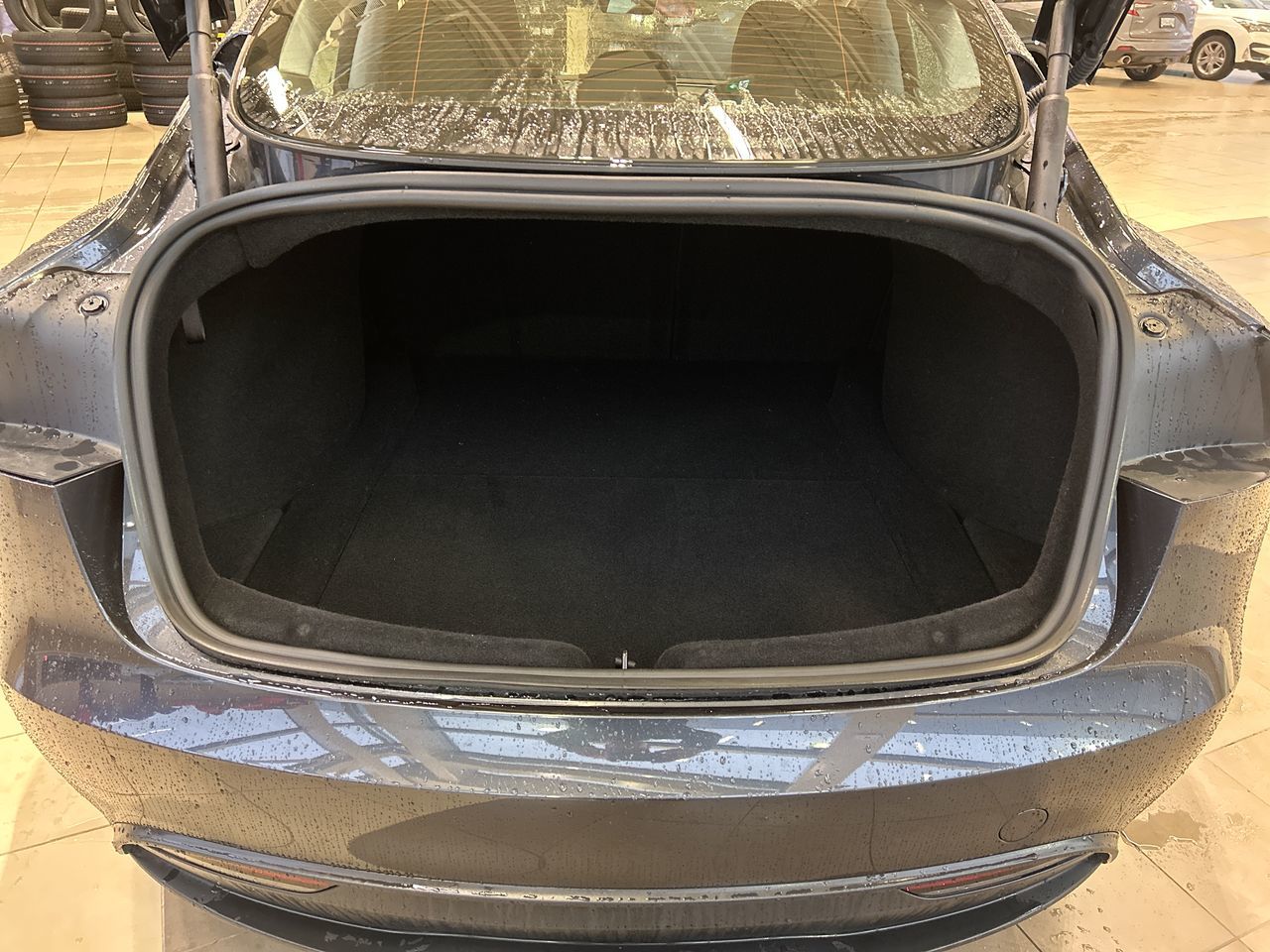 2024 Tesla Model 3 in Langley, British Columbia
