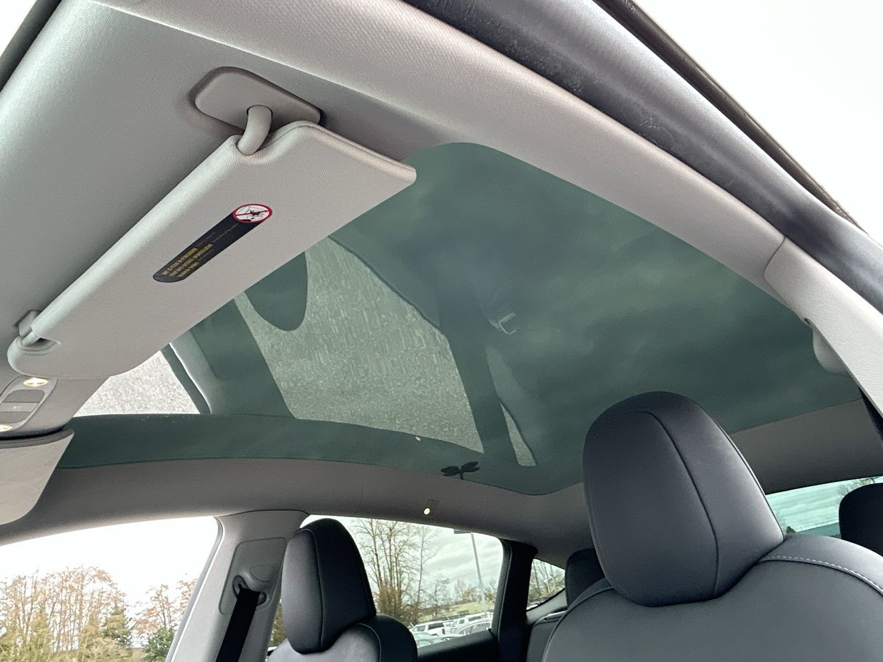 2023  Model Y