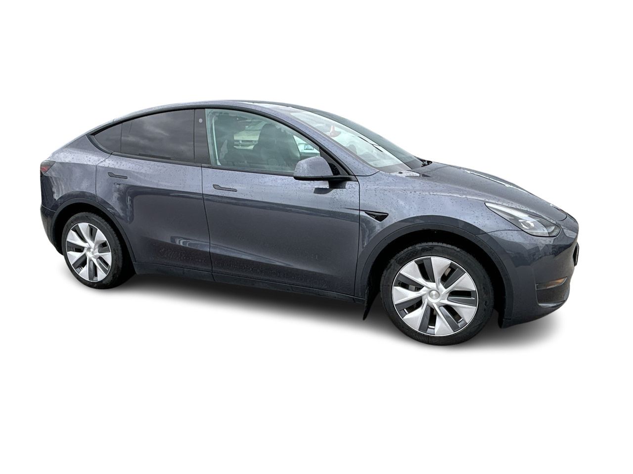 2023  Model Y