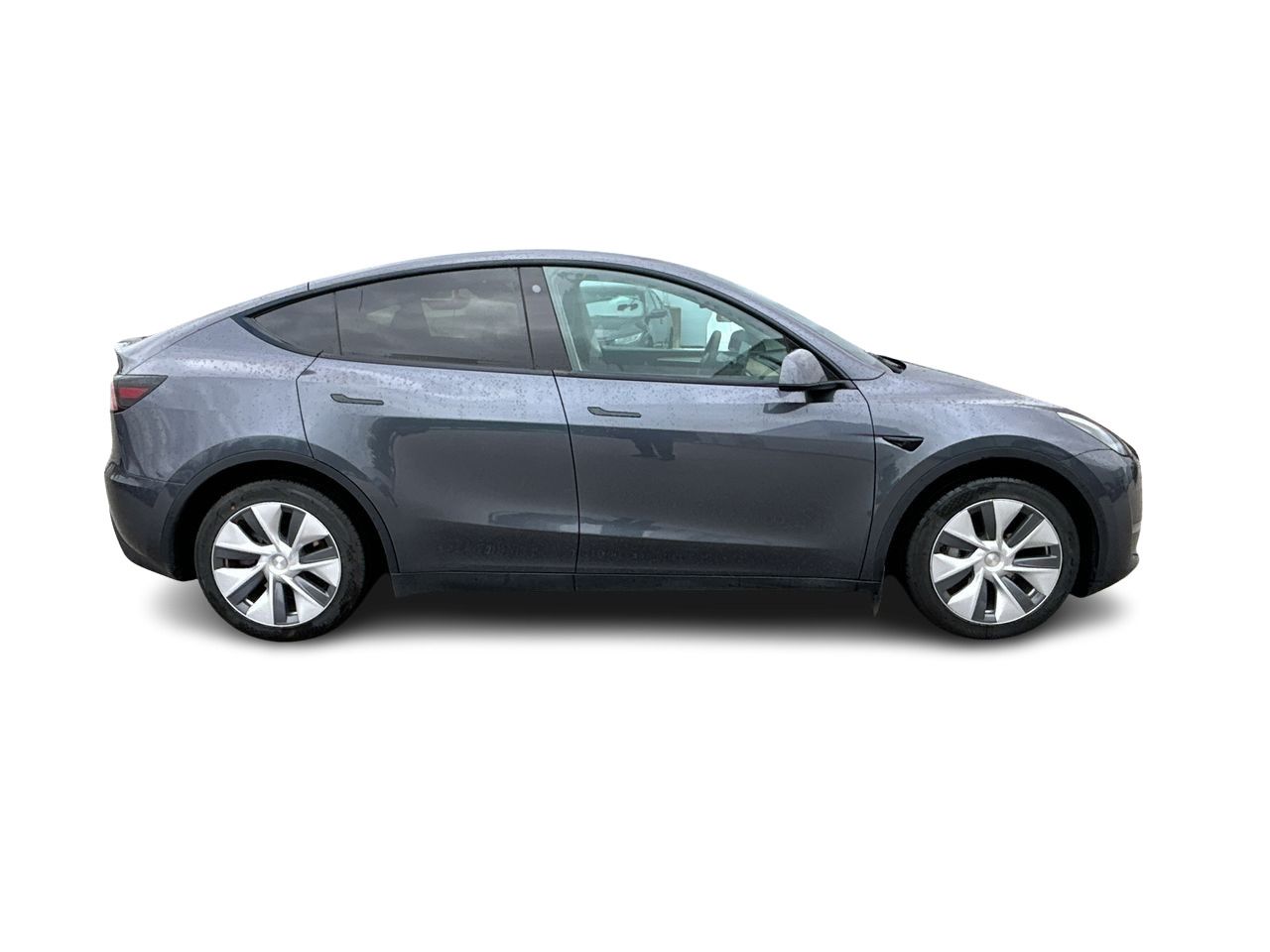 2023  Model Y
