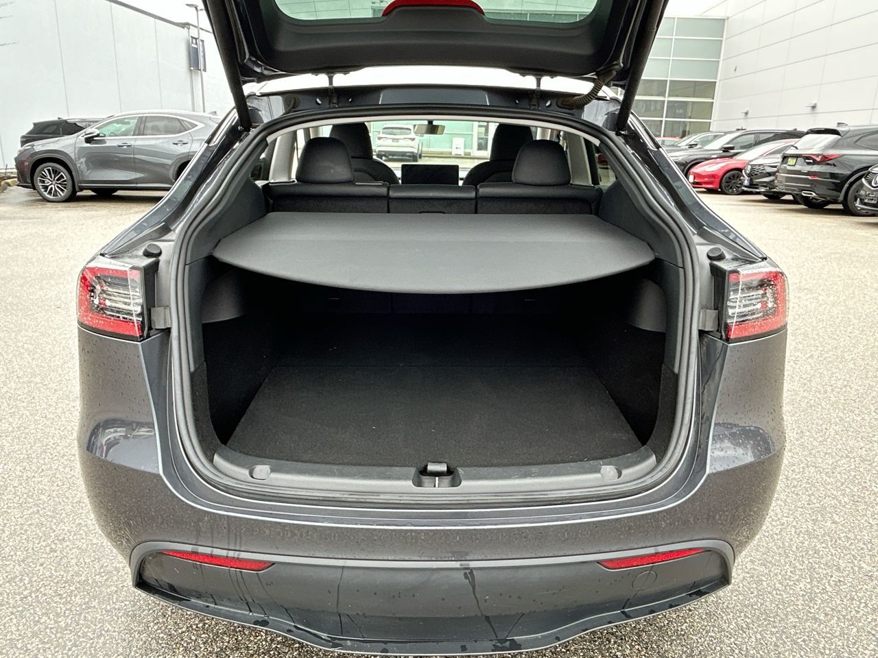2023  Model Y