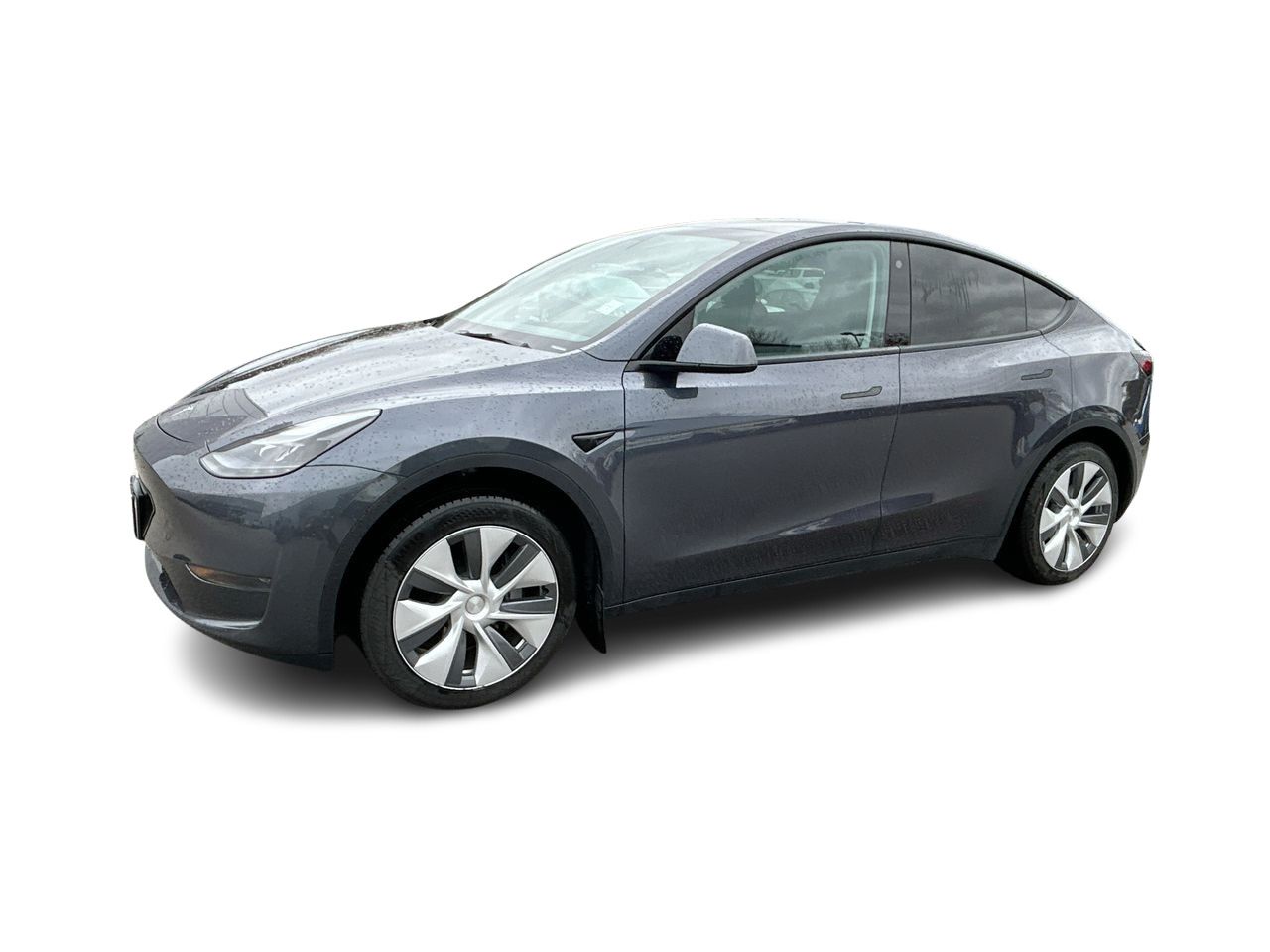 2023  Model Y