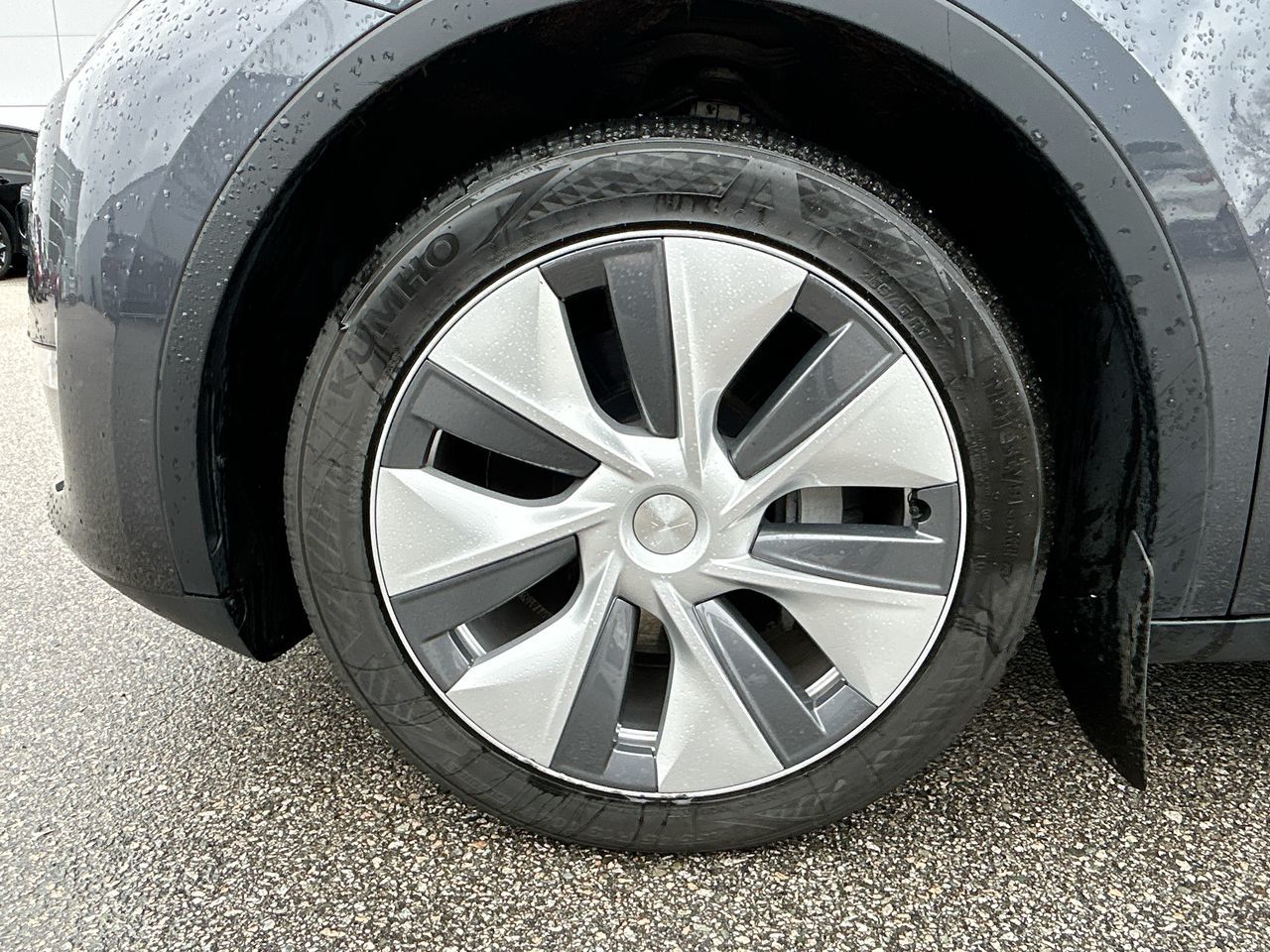 2023  Model Y