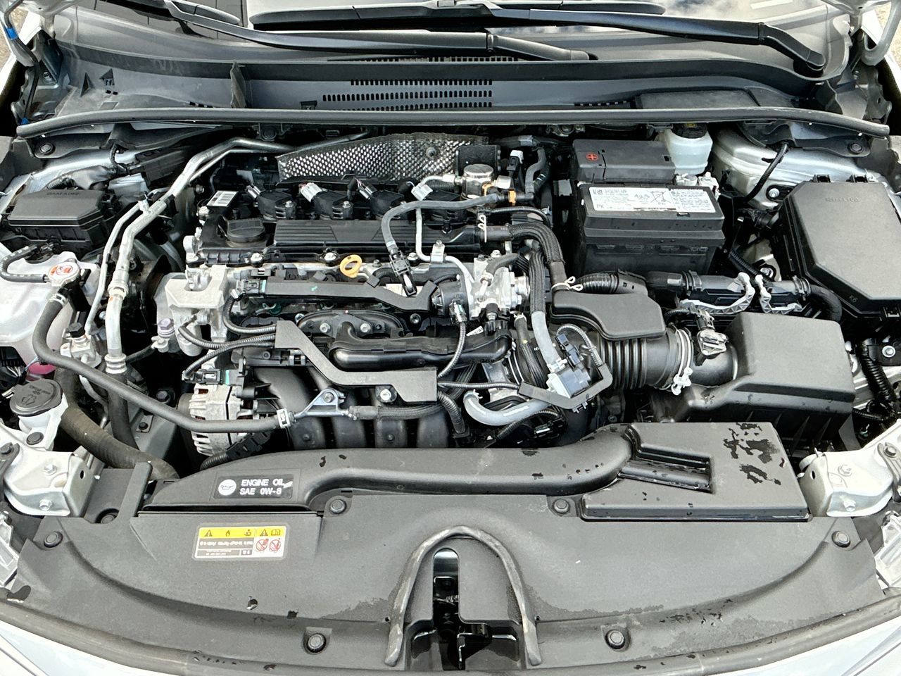 2024  Corolla