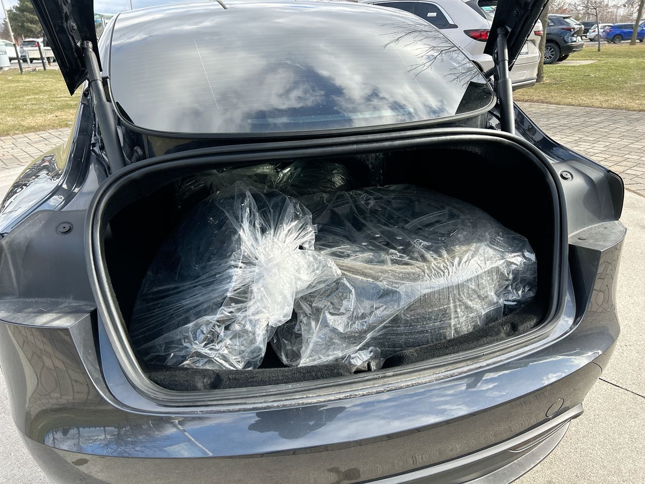 2025 Tesla Model 3 in Scarborough, Ontario