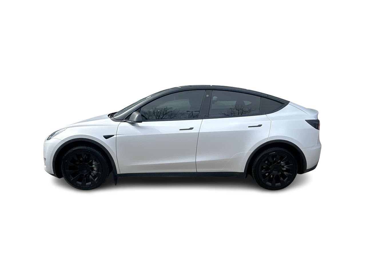 Tesla Model Y  2022