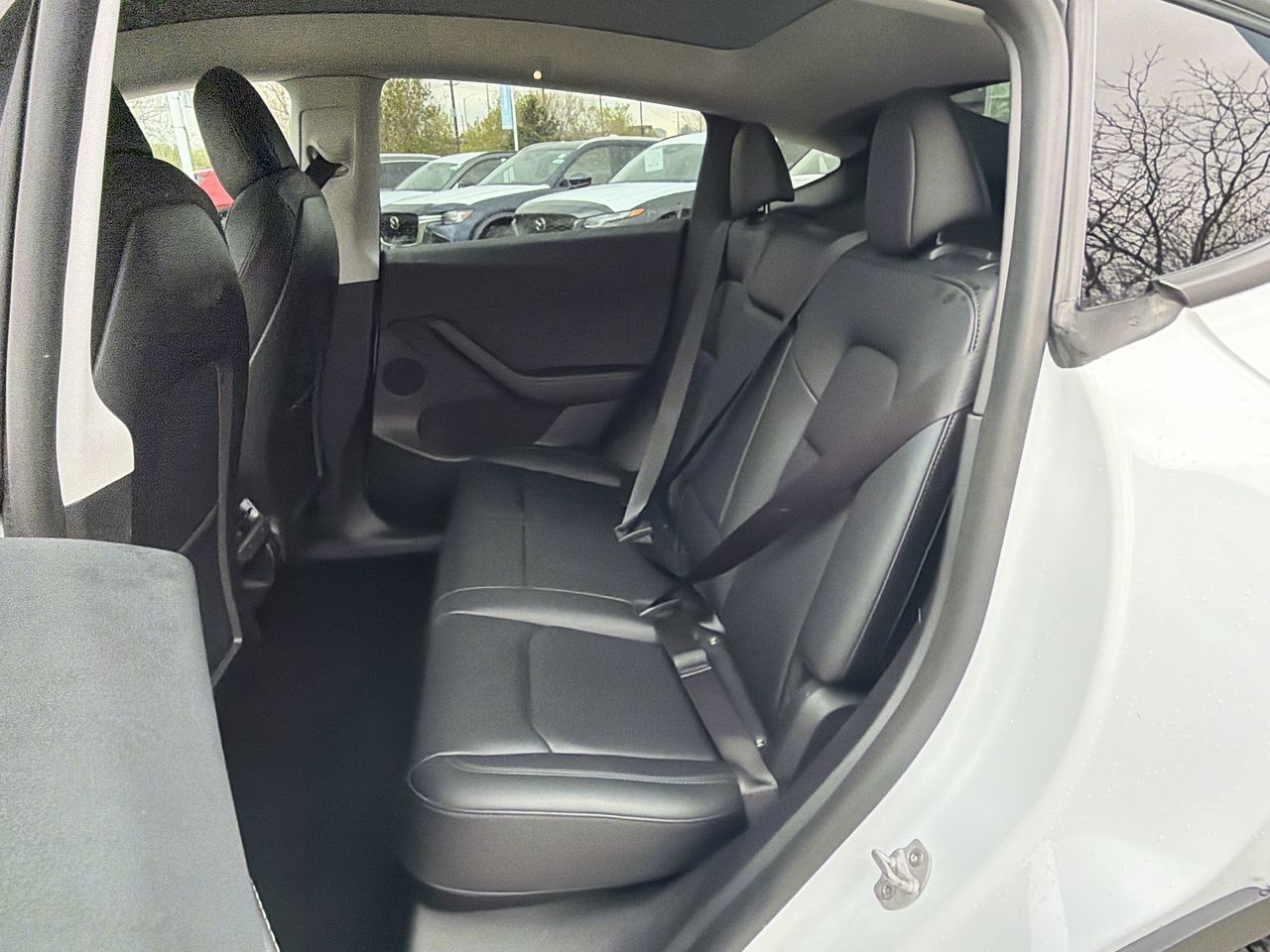 Tesla Model Y  2022