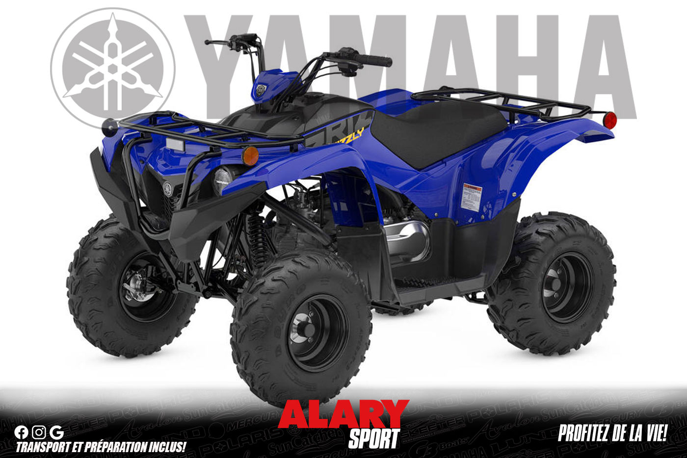 Yamaha Grizzly 700 EPS 25 th anniversary Gris d'occasion, moteur