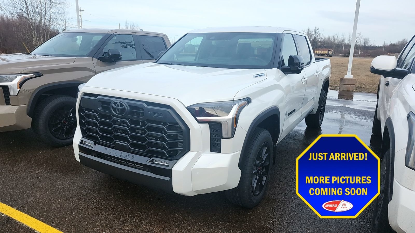 2026 Toyota Tundra LIMITED TRD OFF ROAD