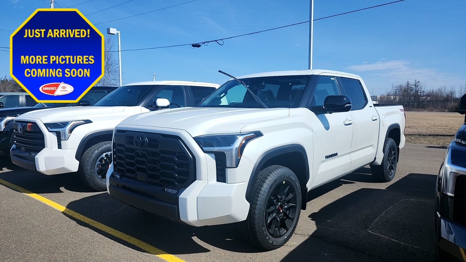 2026 Toyota Tundra LIMITED TRD OFF ROAD