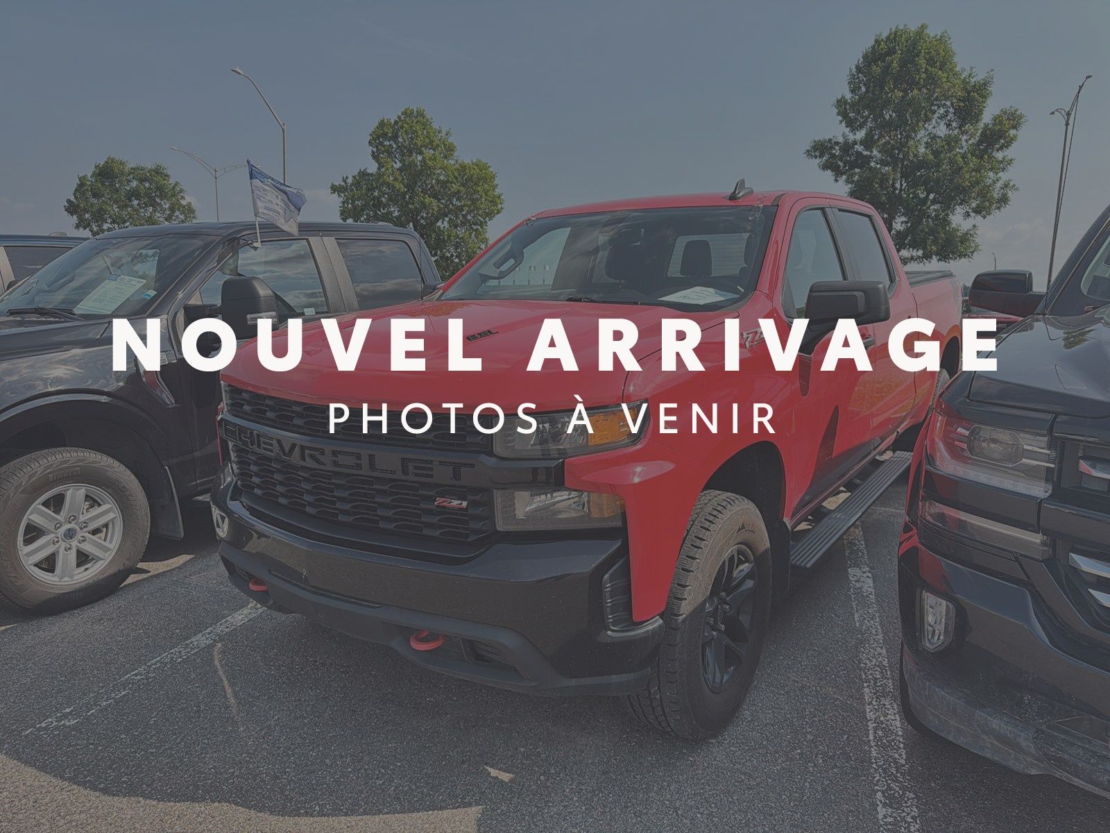 2022 Chevrolet Silverado 1500 LTD Custom Trail Boss