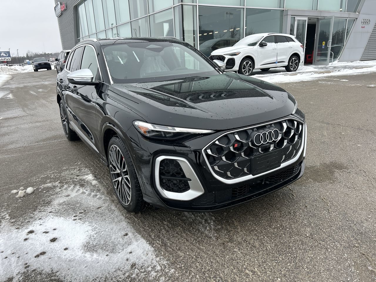 2025 Audi SQ5 in Barrie, Ontario
