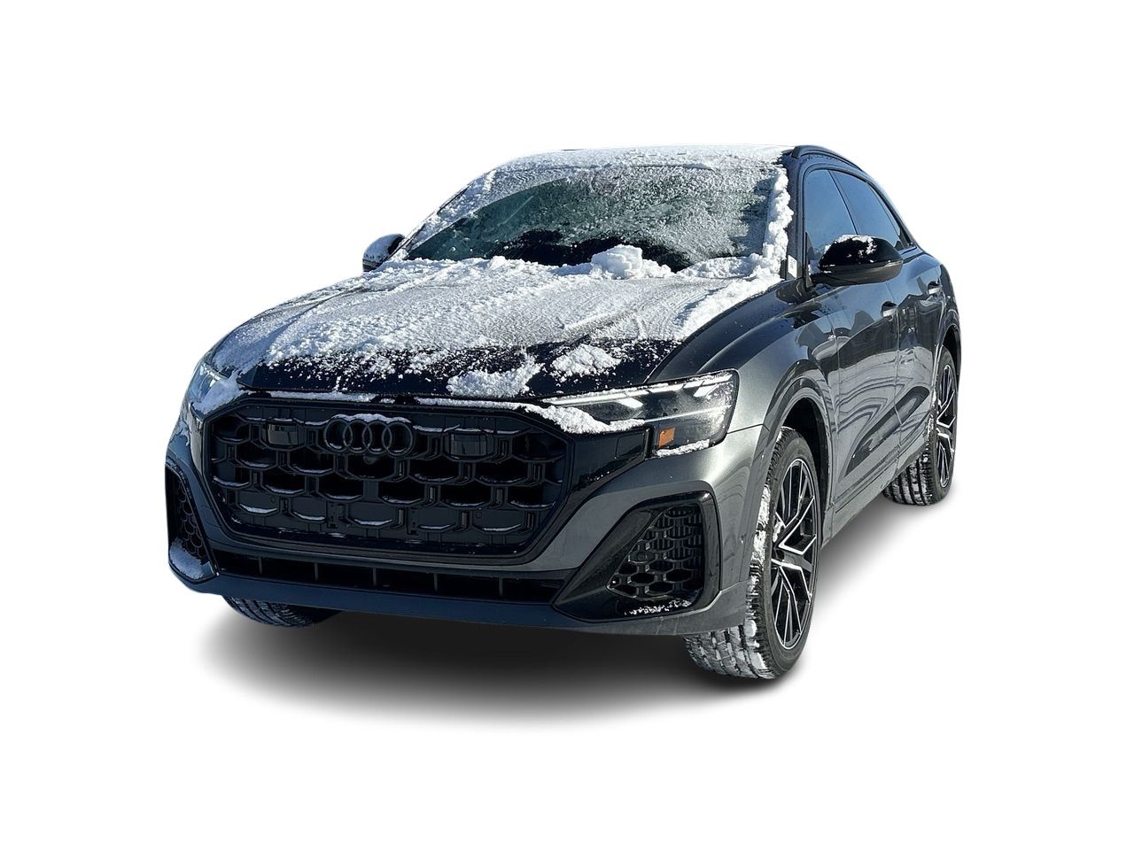 2026 Audi Q8 in Toronto, Ontario