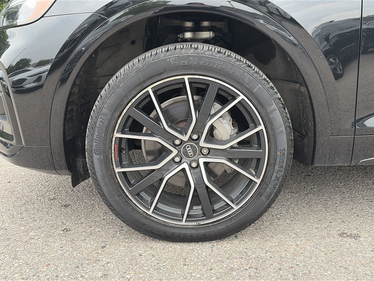 Audi Q5 Sportback  2023 à Thornhill, Ontario