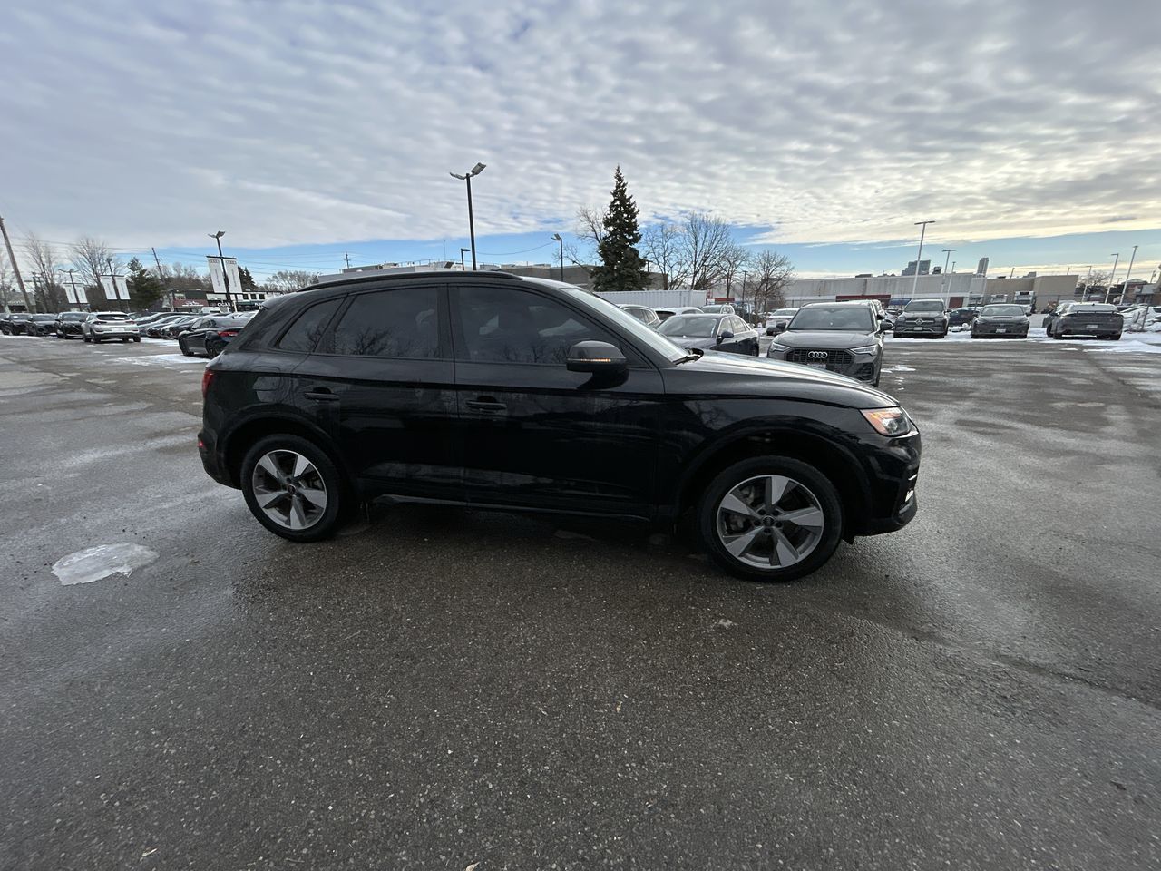 Audi Q5  2023 à Thornhill, Ontario