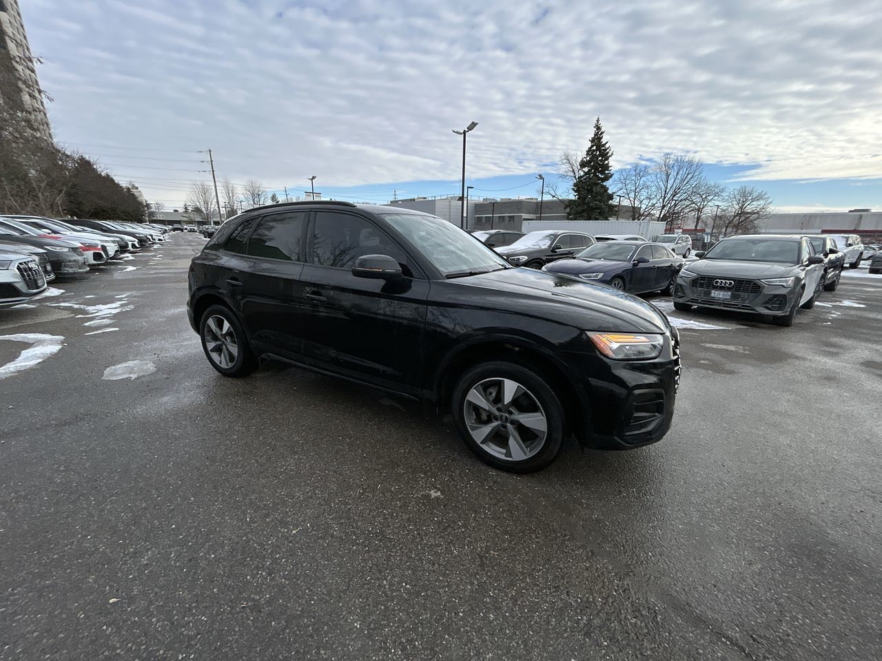 Audi Q5  2023 à Thornhill, Ontario