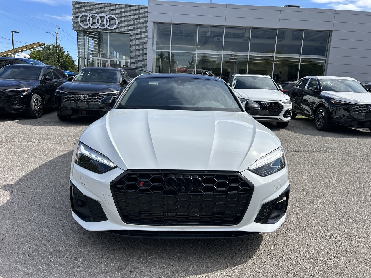 2023 Audi S5 Sportback in Thornhill, Ontario