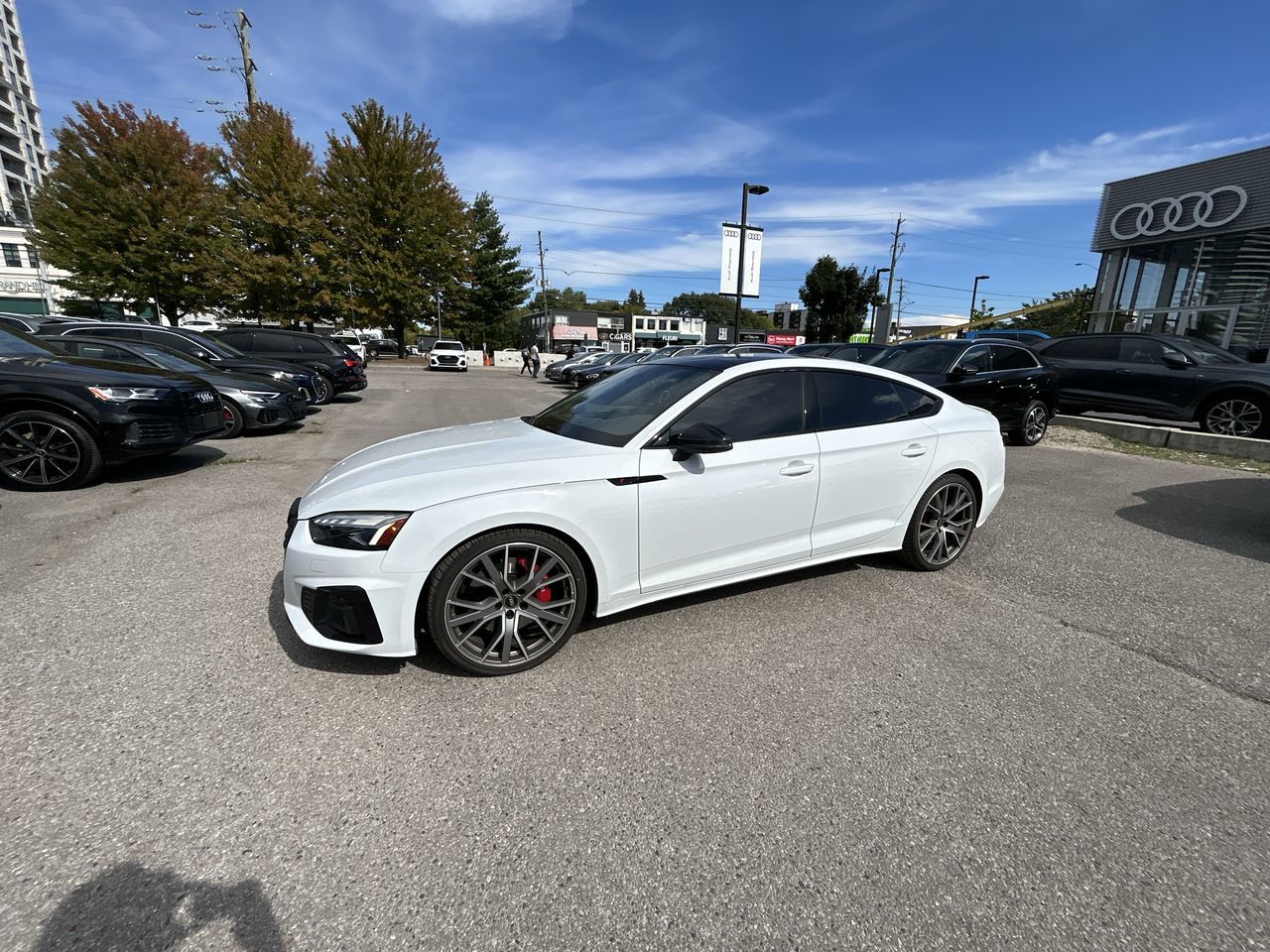2023 Audi S5 Sportback in Thornhill, Ontario
