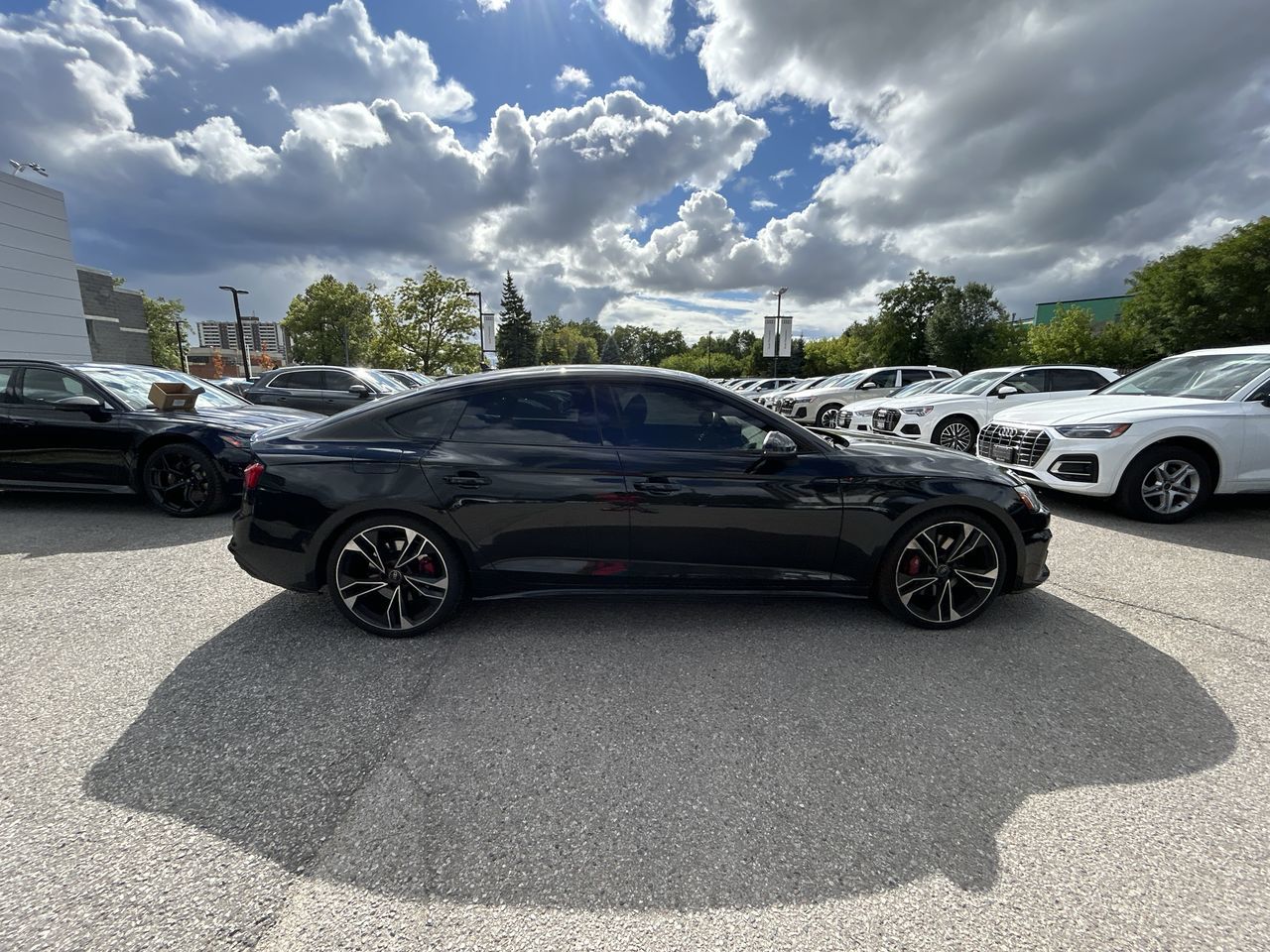 2024 Audi S5 Sportback in Thornhill, Ontario