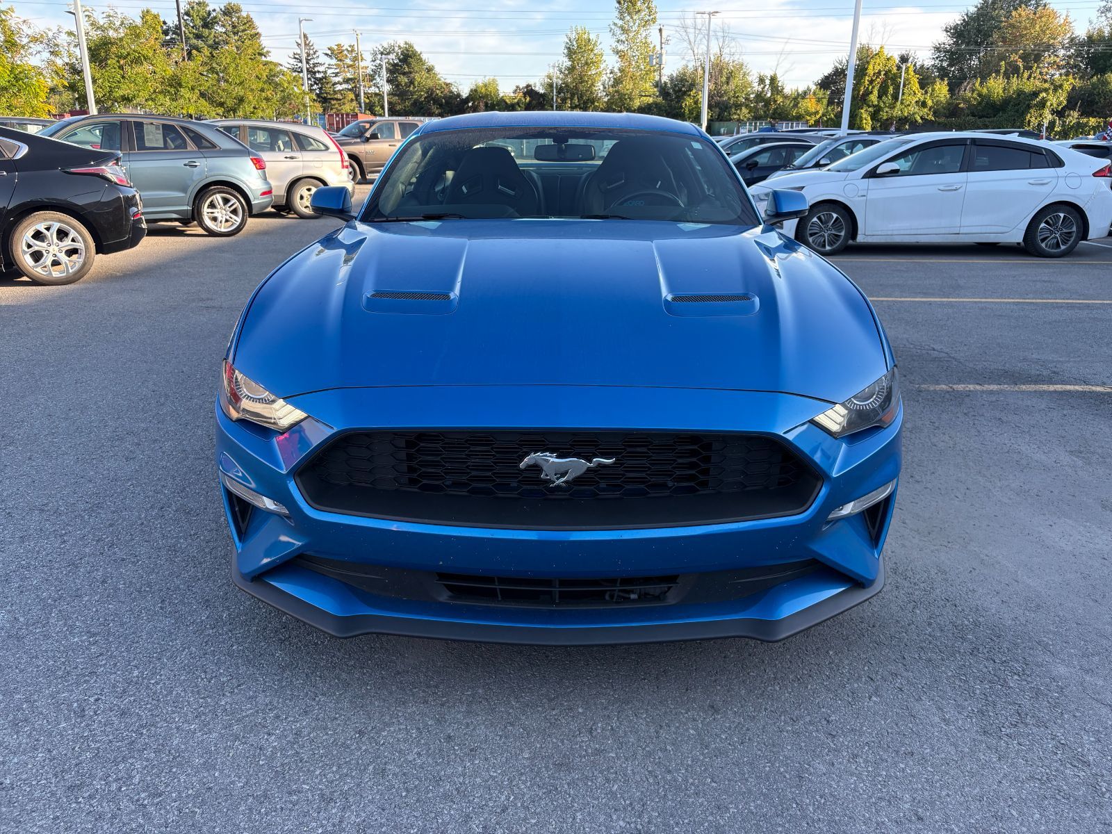 Photo 2019 Ford Mustang COUPE ECOBOOST PREMIUM - RECARO SEAT - LOW MILEAGE #2