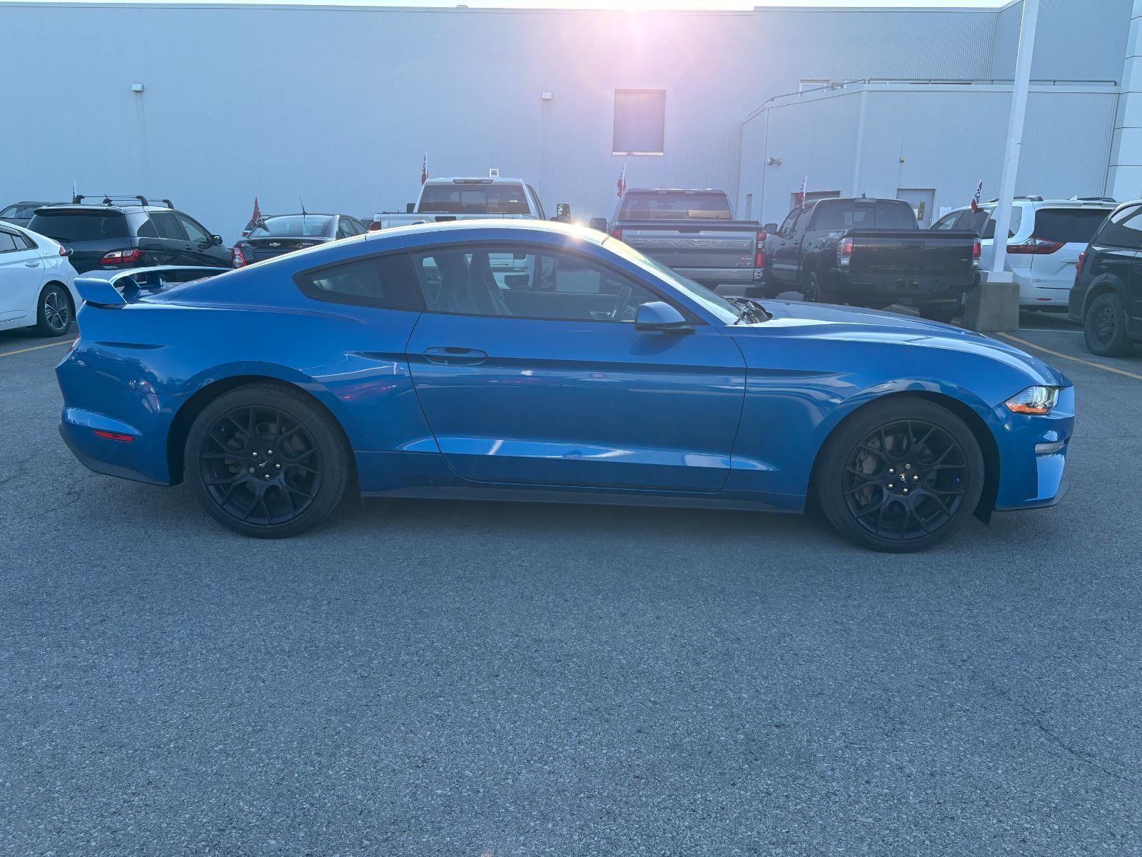 Photo 2019 Ford Mustang COUPE ECOBOOST PREMIUM - RECARO SEAT - LOW MILEAGE #4