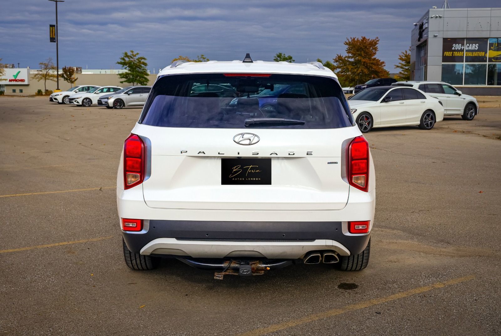 2020 Hyundai Palisade Luxury-4