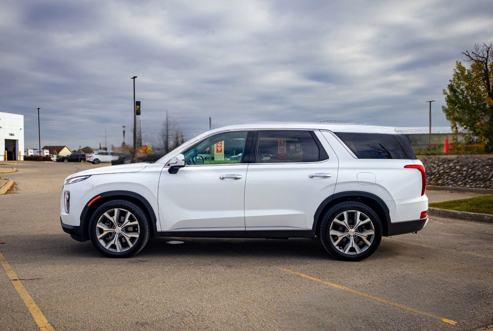2020 Hyundai Palisade Luxury-3