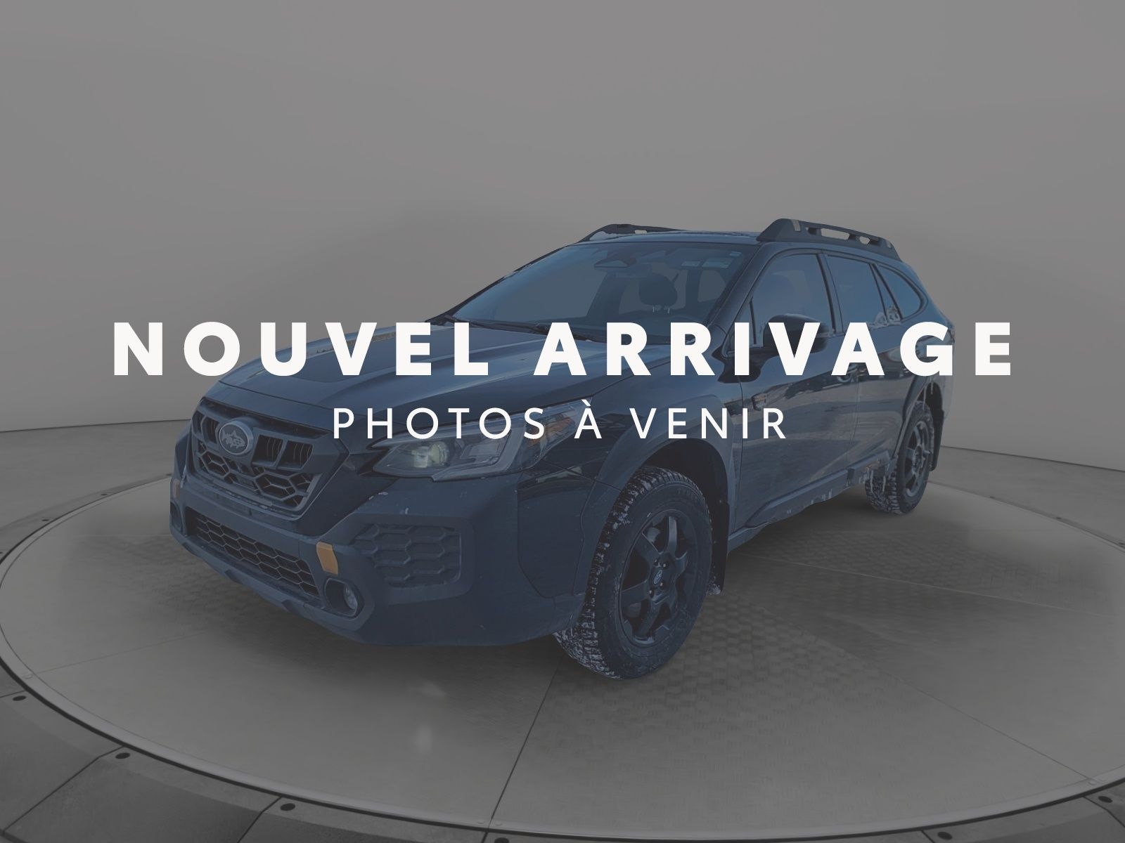 Subaru Outback Wilderness 2024