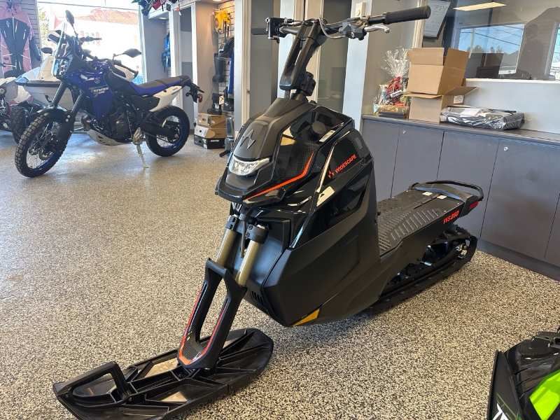 Arctic Cat WIDESCAPE 250  2024