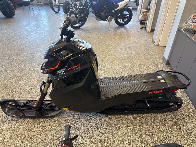 Arctic Cat WIDESCAPE 250  2024