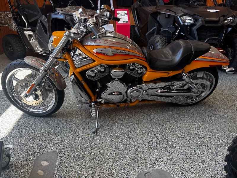 HARLEY-DAV -  2006