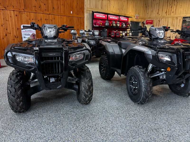 Honda RUBICON 520 DCT IRS EPS DELUXE  2025