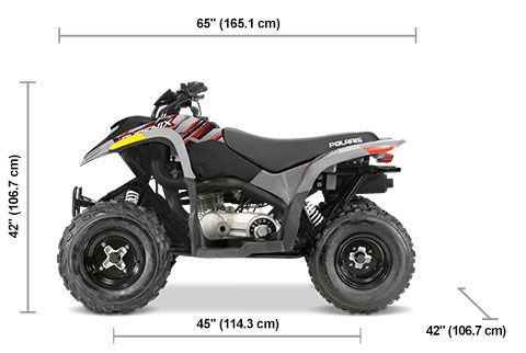Polaris Phoenix 200  2023