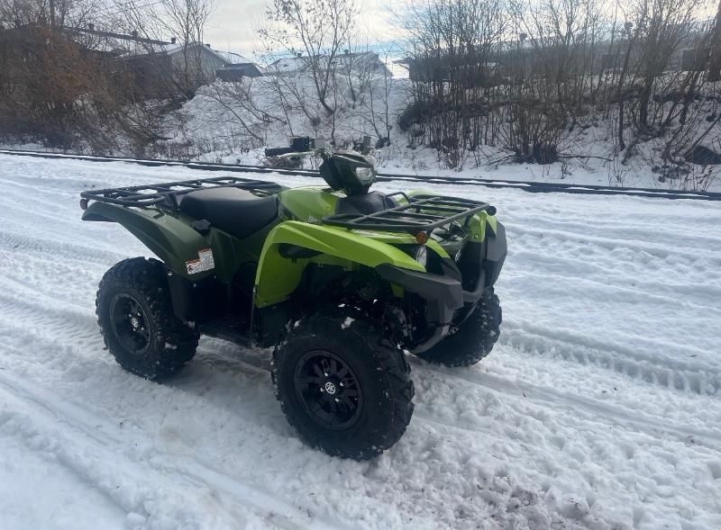 2026 Yamaha Grizzly DAE