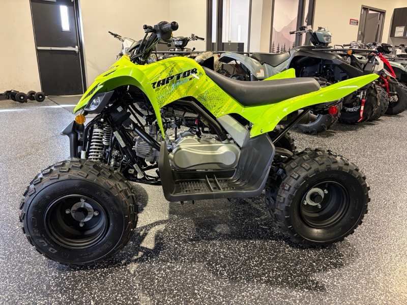 2026 Yamaha Raptor 110