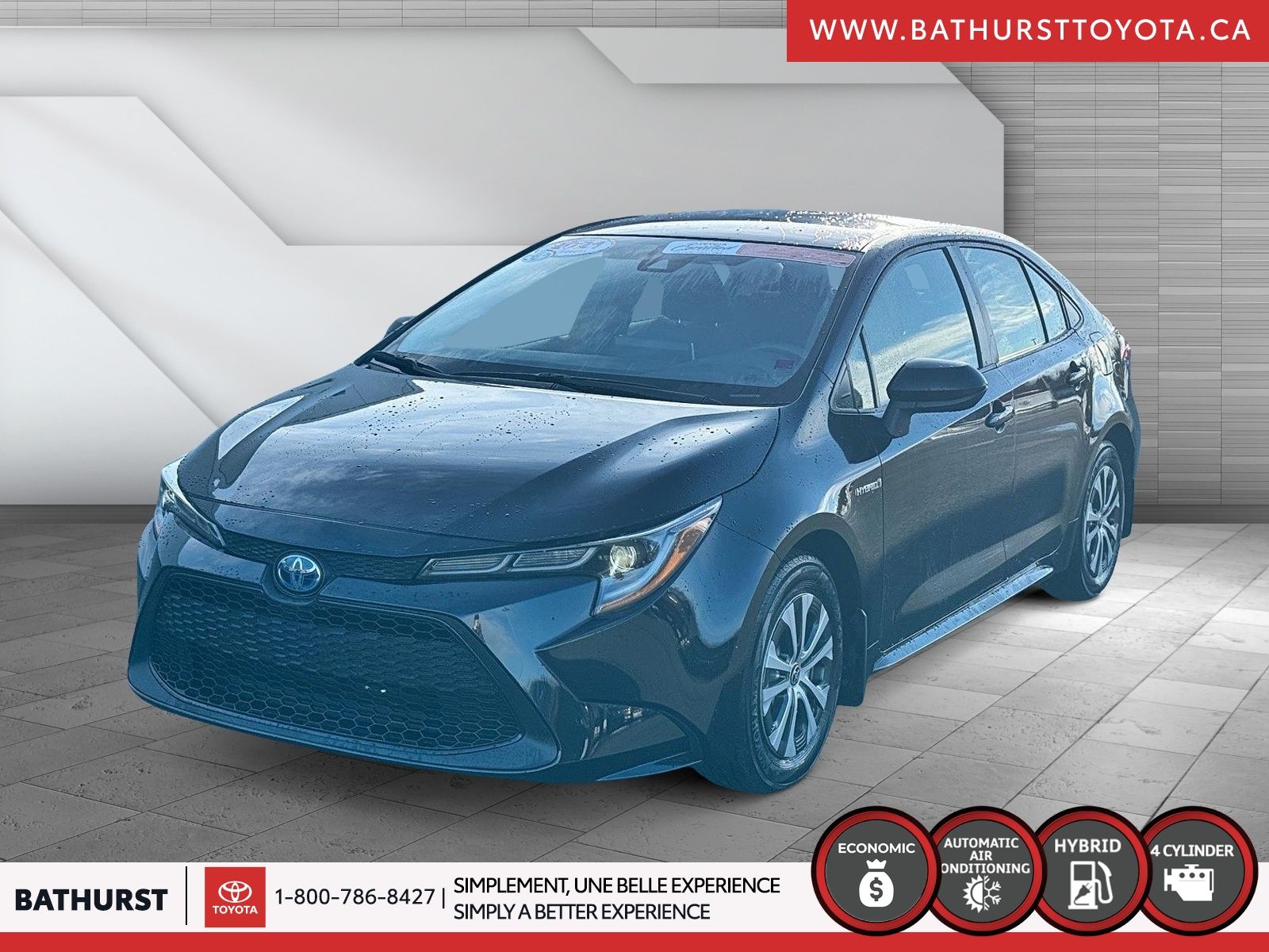 Bathurst Toyota ?? Bathurst | Toyota Corolla HYBRID 2021 #PO6063
