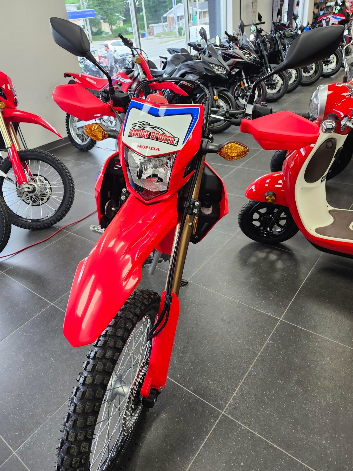 Honda CRF300LAR  2024