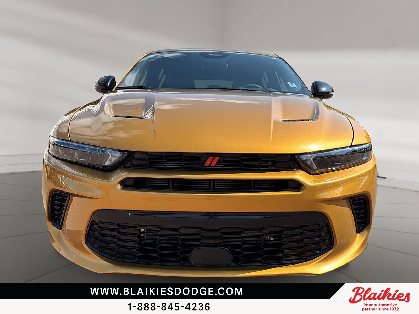 Photo Dodge Hornet GT 2024 #2
