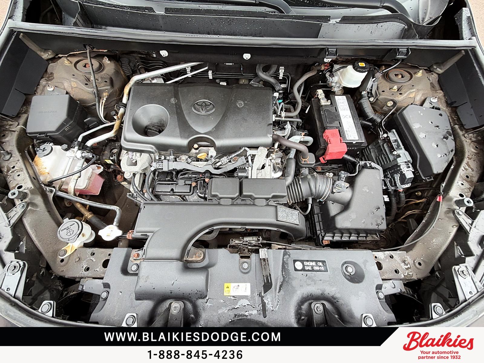 Photo Toyota RAV4 XLE 2019 #8