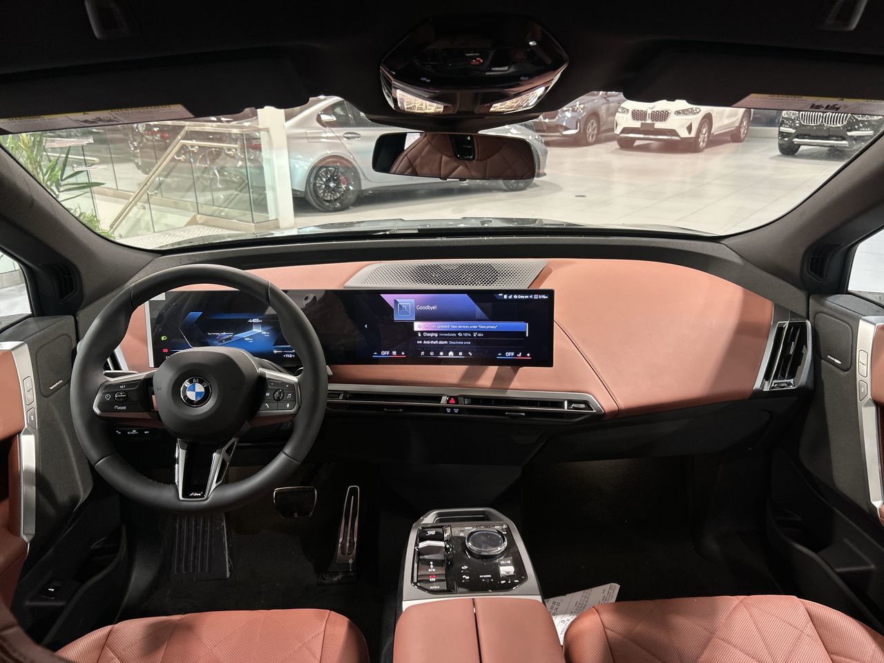 2026 BMW iX