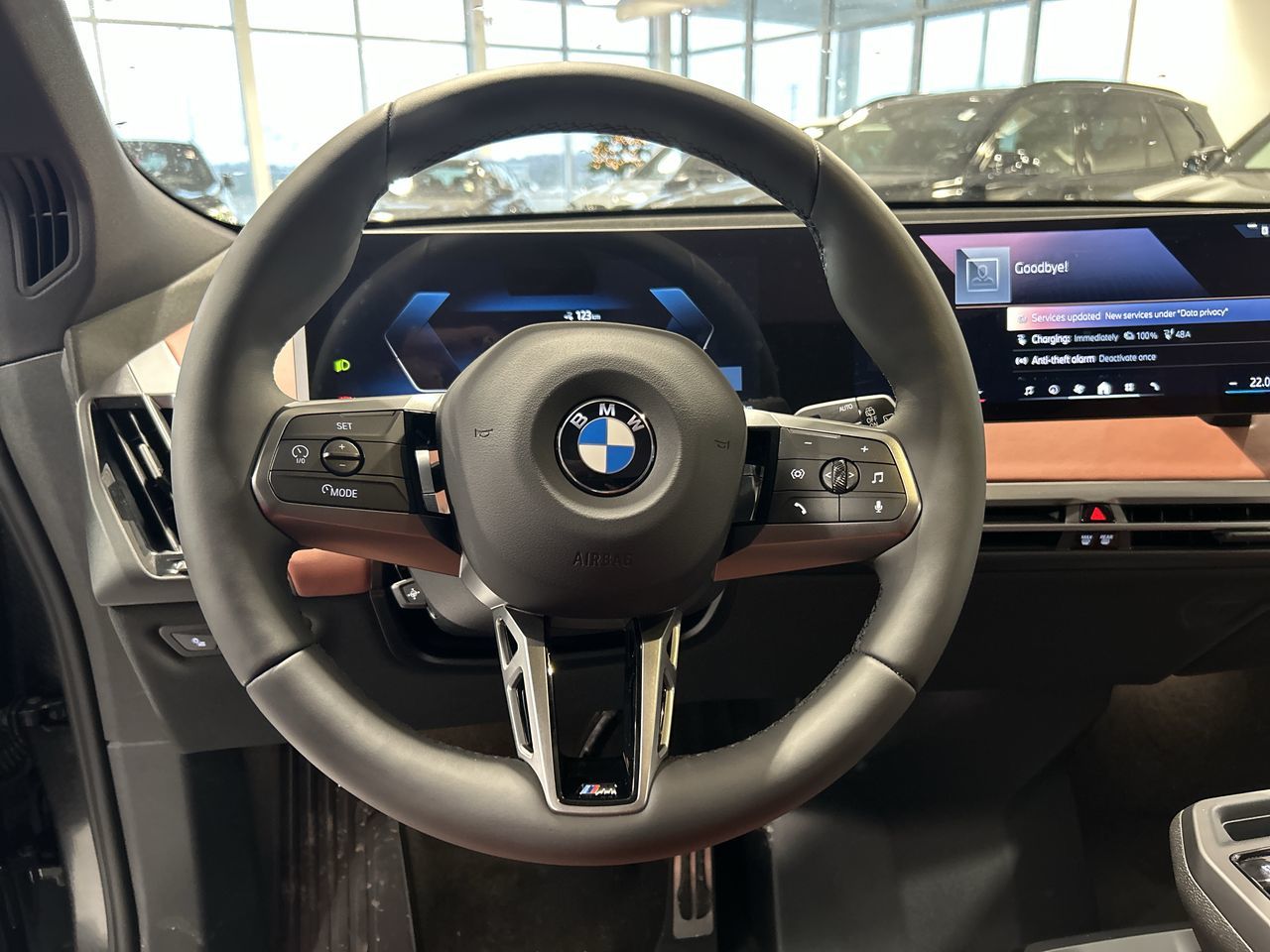 2026 BMW iX